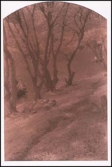 mienteme-una-eternidad_0