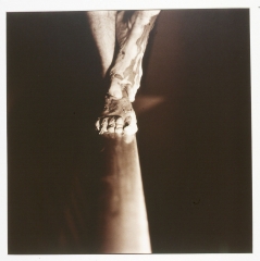 el-precario-equilibrio-de-tu-deseo